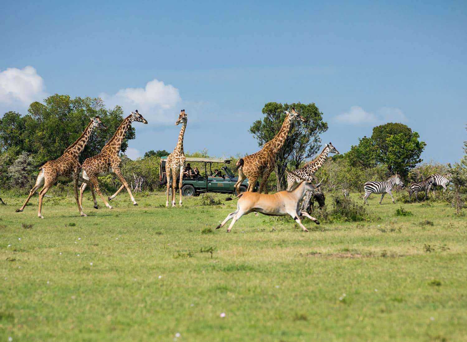 Cottars Safari Camp Olderkesi Conservancy