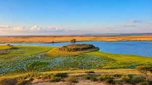 Best Luxury Safari Experiences in Amboseli National Park