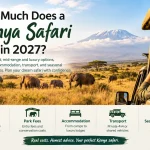 How Much Does a Kenya Safari Cost in 2027