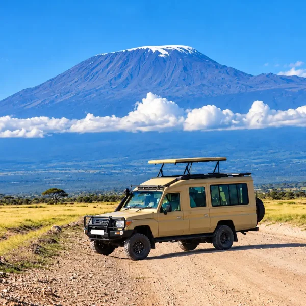 luxury safari experiences in Amboseli